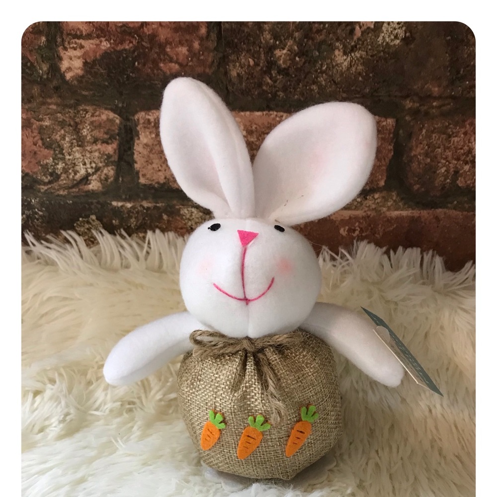 Easter Bunny  New So Soft Super Cute
